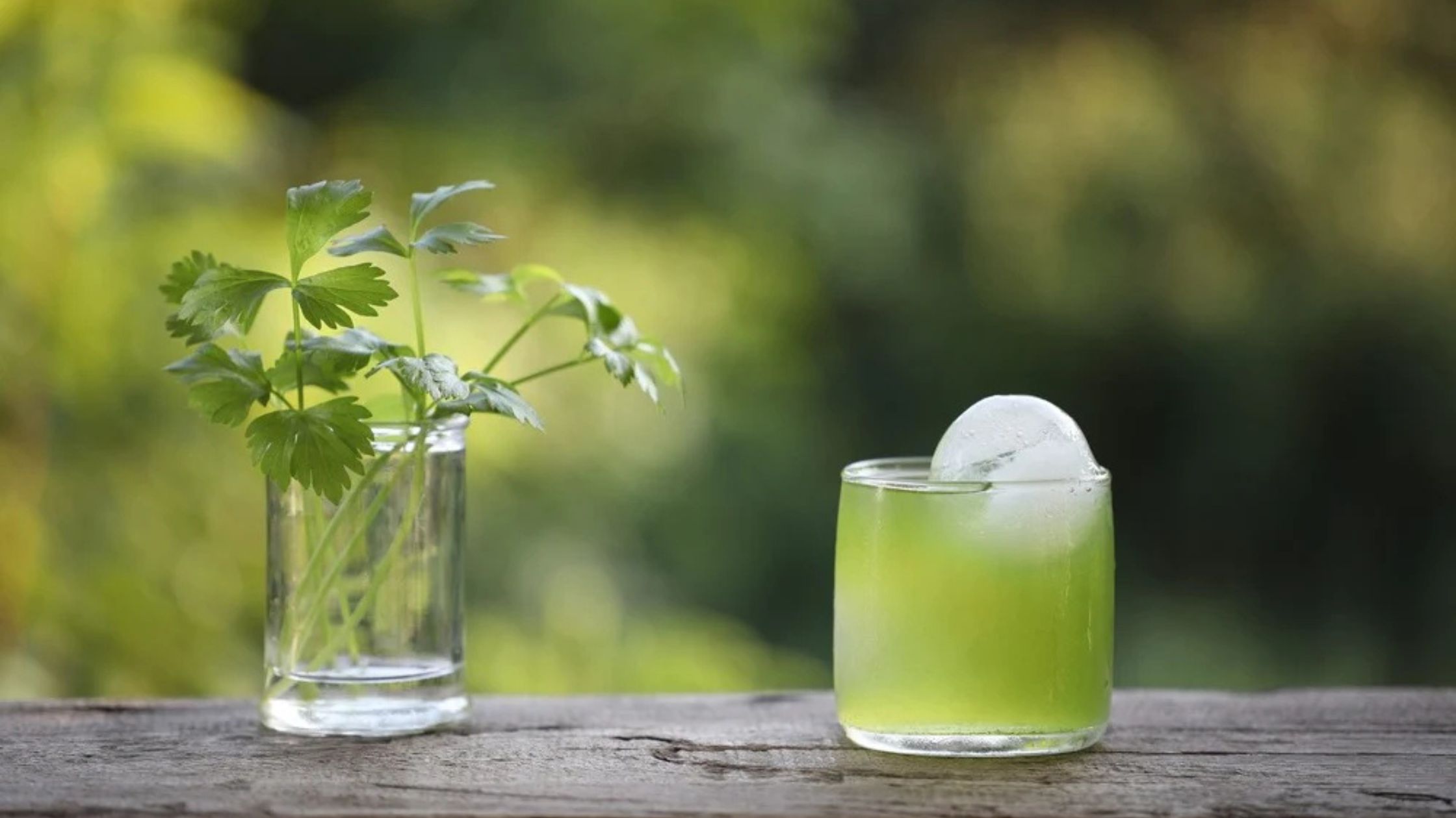 coriander cocktail recipes